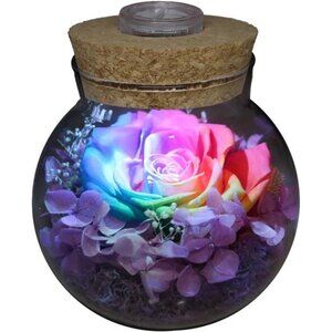 Preserved Real Roses with Colorful Mood Light Wishing Bottle,Eternal Rose